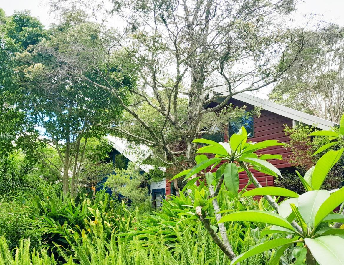 Sky Island Studios Mount Tamborine Eksteriør billede