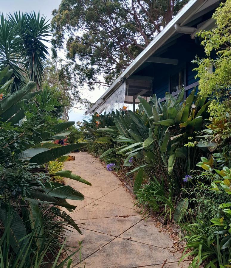Sky Island Studios Mount Tamborine Eksteriør billede