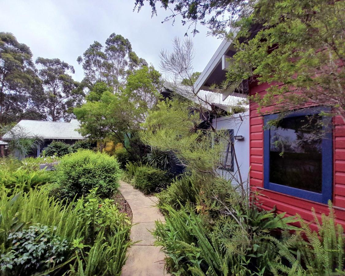 Sky Island Studios Mount Tamborine Eksteriør billede