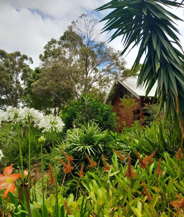 Sky Island Studios Mount Tamborine Eksteriør billede
