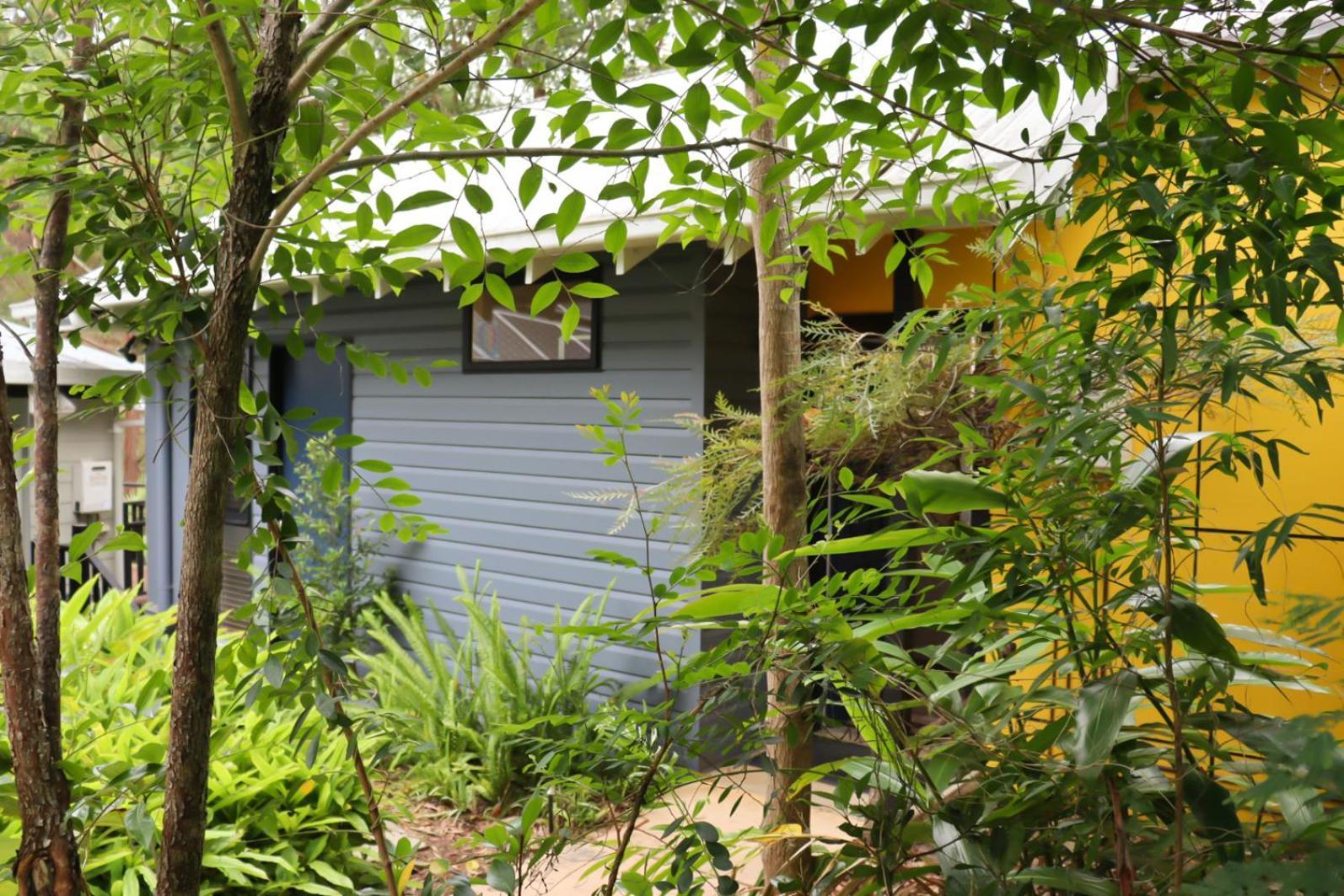 Sky Island Studios Mount Tamborine Værelse billede